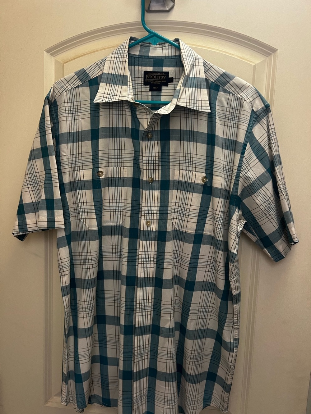 Pendleton men’s casual button down shirt. Never worn. Size M